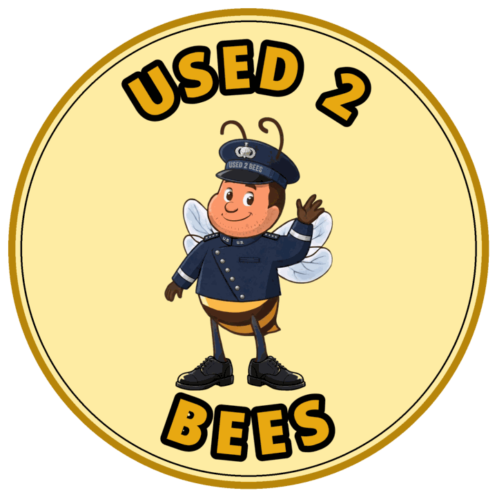 Used 2 Bees circle sticker — Space Force Dress Officer (Male)