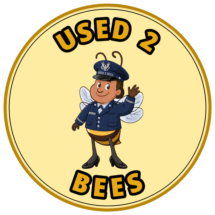 Used 2 Bees circle sticker — Air Force Dress Officer (Female)