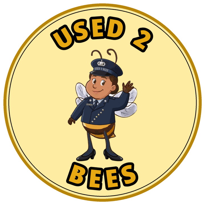 Used 2 Bees circle sticker — Space Force Dress Officer (Female)