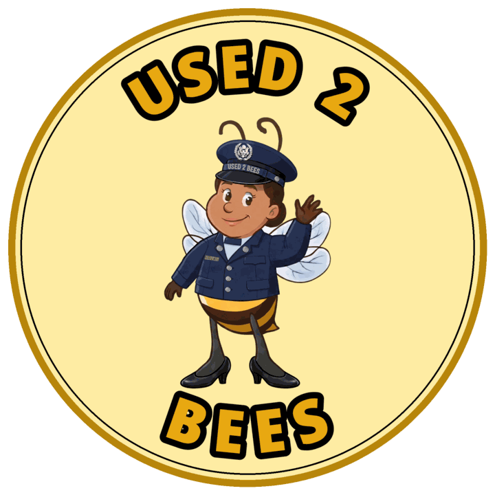 Used 2 Bees circle sticker — Air Force Dress (Female)